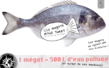 Ajaccio : Nettoyage de la plage Trottel le 4 septembre