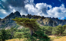 La photo du jour : admirable Bavella