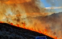 L'Incendie de Montegrosso "fixé". Le bilan est très lourd : 180 hectares
