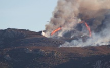 Incendie criminel du col de Salvi : la Collectivité de Corse depose plainte