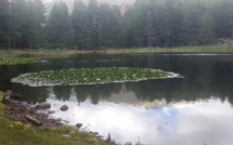 La photo du jour : dans la quiétude du lac de Creno