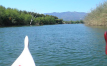 Castagniccia : En pagode à la découverte du patrimoine