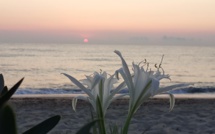 La météo du jeudi 17 septembre 2020 en Corse