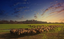 La photo du jour : les belles couleurs d'Aleria