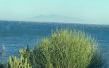 Corse : vigilance jaune pour orage, pluie-inondation et vent fort