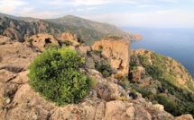 La photo du jour : le château de Porto et les calanche
