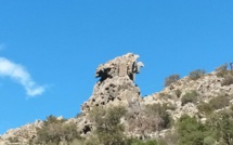 La photo du jour : entre Barchetta et Ponte Novu, un aigle de pierre