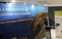 Bastia : "Plongée au cœur des canyons", l'exposition immersive ouverte à tous