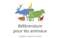 Référendum pour les animaux : les députés corses interpellés par Global Earth Keeper
