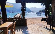 La photo du jour : le calme de Girolata