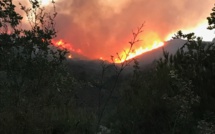 Plusieurs mises à feu à Feliceto : 10 hectares partis en fumée