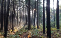 Météo Corse : Petit coup de froid en début de semaine 