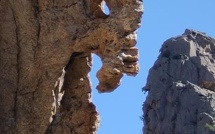 La photo du jour : monstre figé dans la roche