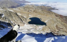 La photo du jour : Jack au lac de Bastani