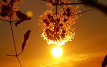 La météo du jeudi 29 octobre 2020 en Corse