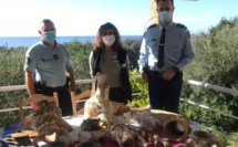 Serra di Ferro : la gendarmerie saisit des objets archéologiques à un particulier