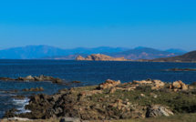 La photo du jour : Lisula rossa