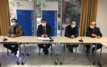 Clémentines, une récolte sans pépins malgré la crise sanitaire