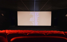 Déconfinement : Les cinémas corses préparent leur réouverture entre impatience et inquiétude