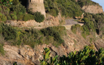 La photo du jour : la tour de Losse et les arbousiers du Cap Corse