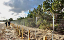 Porto-Vecchio : Une clôture de 300 mètres sur la plage de Palumbaghja