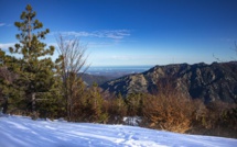 La photo du jour : "merci Ghisoni'