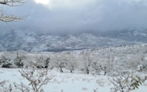 Corse : la neige au rendez-vous. Envoyez-nous vos plus belles photos