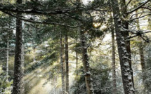 La météo du lundi 28 décembre 2020 en Corse