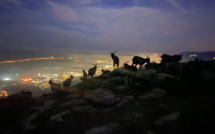 La météo du mardi 29 décembre 2020 en Corse