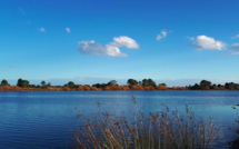 La photo du jour : l'etang de Palu