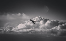 La photo du jour : "fly with the moon"