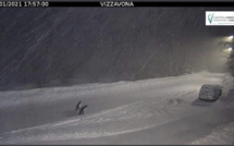 INSOLITE DU WEB : Les pingouins de Vizzavona