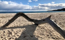 Météo de la semaine en Corse : le retour du soleil !