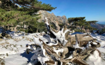 La météo du vendredi 15 janvier 2021 en Corse 