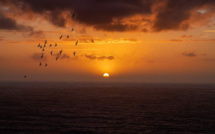 La photo du jour : coucher de soleil à Cargèse