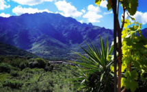 La météo du Jeudi 21 janvier 2021 en Corse