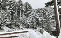 La météo du samedi 23 janvier 2021 en Corse
