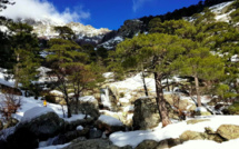 La météo du dimanche 24 janvier 2021 en Corse