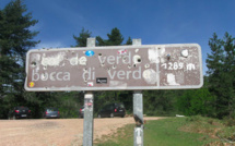 Corse : Plusieurs routes départementales fermées à cause des chutes d’arbres 