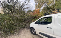 Bastia : le miraculé d’Hortense
