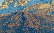 La photo du jour : Montemaiò blotti au pied du Montegrossu