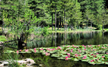 La météo du vendredi 5 février 2021 en Corse