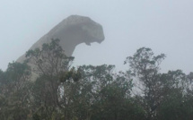La photo du jour : Jurassic Park sur le sentier des Crêtes