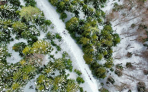 La photo du jour : la forêt de Petra Niella se pare de ses belles couleurs d'hiver