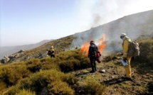 Feux de forêts : on va brûler en Balagne pour les scientifiques du projet GOLIAT 