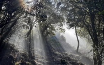 Météo de la semaine en Corse : premiers jours de Mars sans pluie