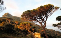 La photo du jour : la tour de Sénèque et Santa Lucia di Luri