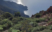 La photo du jour : l'entrée de la réserve de Scandola