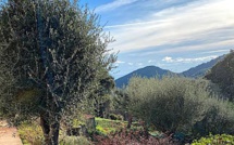 La météo du mardi 2 mars 2021 en Corse