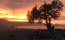 La météo du jeudi 4 mars 2021 en Corse